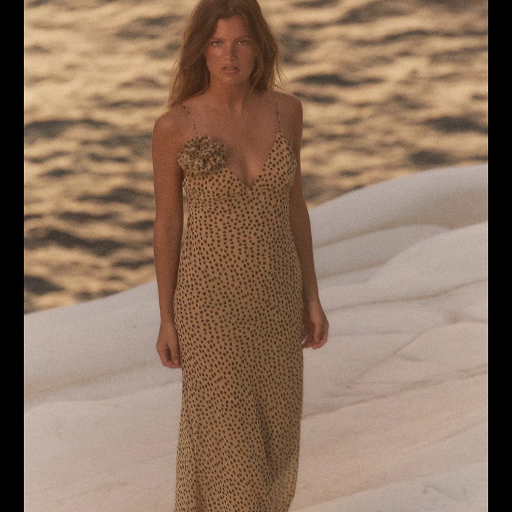 Zara Beige Polka Dot Maxi Dress